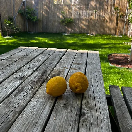 アパート Seda's House & *