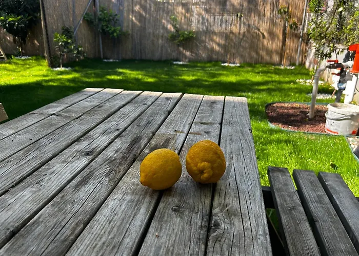 Апартаменты Seda's House & *